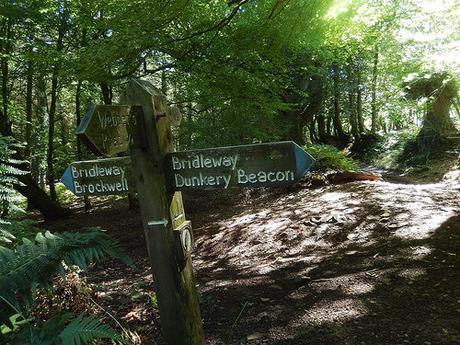 Horner to Dunkery Beacon – Exmoor