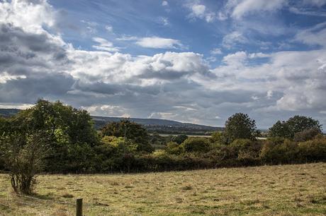 Another view of Aldbury Nowers Nature Reserve