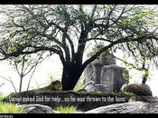 Asking LORD Help Sometimes Unexpected Results