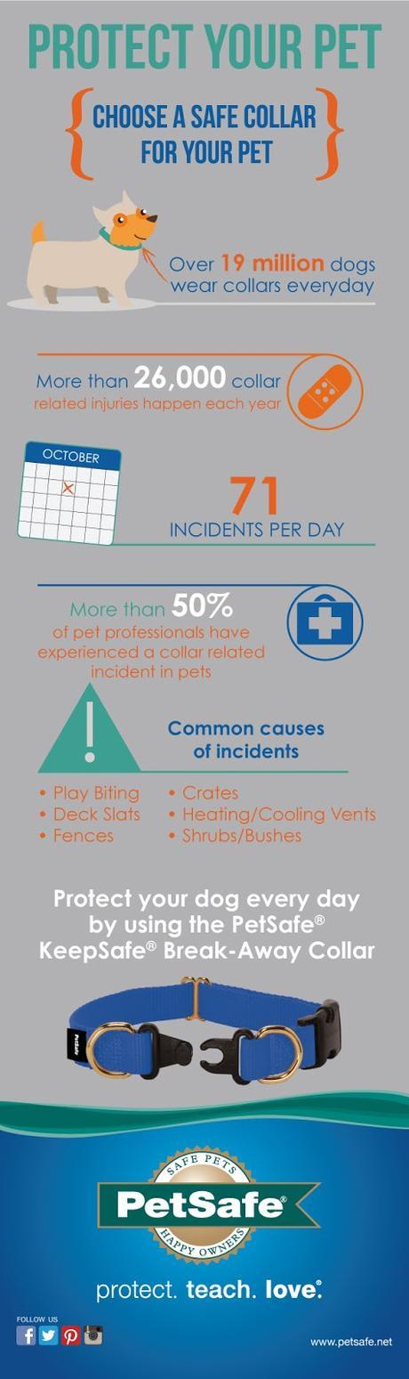Protect your pet from collar strangulation infographic