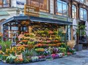 Vienna Flower Shop