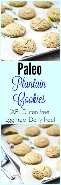 Plantain Cookies (Paleo, Gluten Free, AIP, Dairy Free, Egg Free, Nut Free)