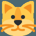 🐱