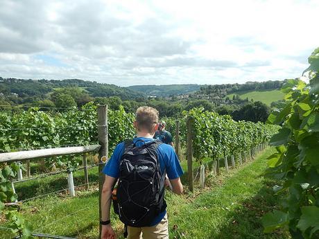 Coaley Peak Walk