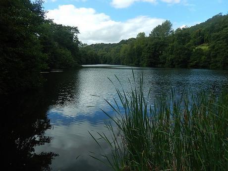 Coaley Peak Walk