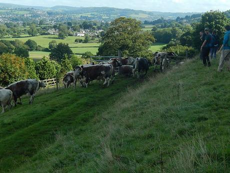 Coaley Peak Walk