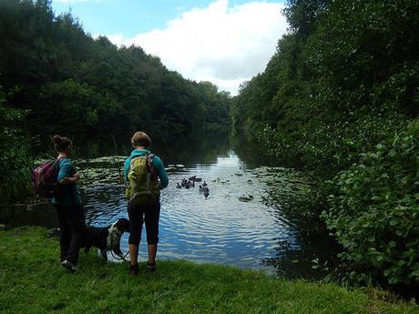 Coaley Peak Walk