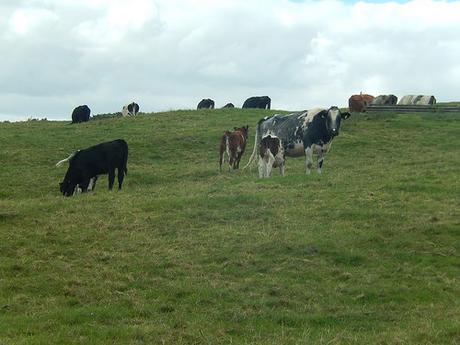 Coaley Peak Walk