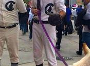 Cubs Don’t Need Your Predictions