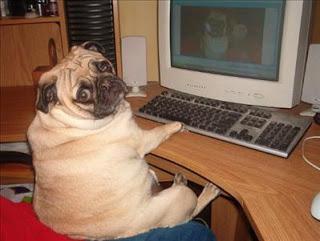 Pug computer Google images