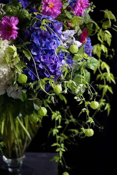 Floral Arrangements with Love in a Puff, Balloon Vine