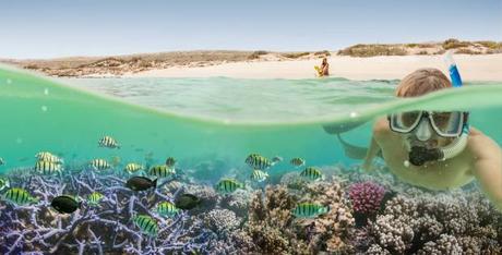 northern Western Australia is Coral Bay.jpg