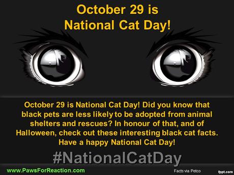 #October 29 is #NationalCatDay #BlackCat #Facts