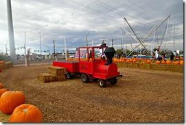 pumpkin patch henderson train