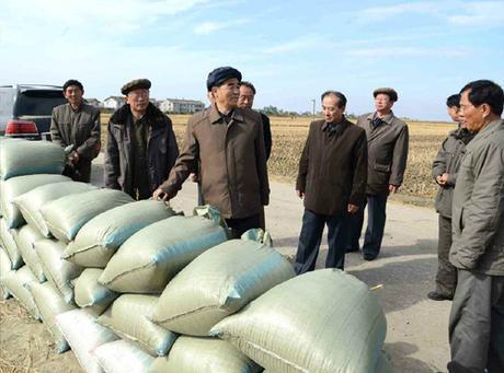 DPRK Premier Pak Pong Ju inspects a farm in Such'o'n County, South P'yo'ngan Province (Photo: Rodong Sinmun).