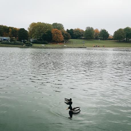 Sundaze 33. Sundaze 33.