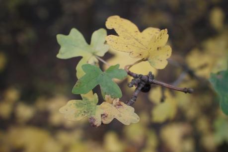 PRIMARK WINTER KNITS | PART ONE