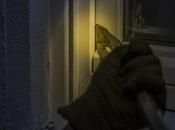 Factors Avoid Home Burglaries
