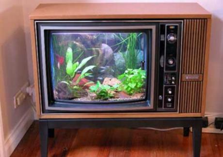 Old TV Turned Into an Aquarium