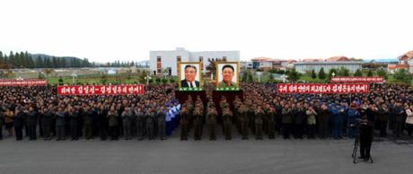 mushroomkingdom-rnov012016