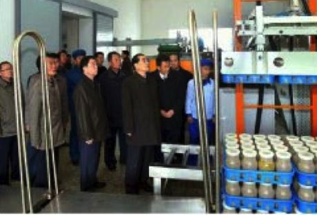 ppjclmushroomkingdom-rnov012016