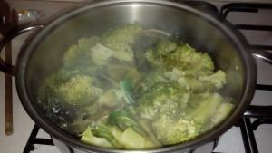 Pasta con broccoli ed acciughe. Pasta with broccoli and anchovies’