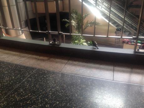 “Why I Kissed The Appalachian Trail Goodbye,” by Arkansas Traveler — A Walk Through The Mountains