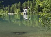 Weekly Photo Challenge: Mirror Aberdeen Garden