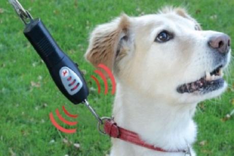 Top 10 Crazy, Useful and Unusual Gadgets for Dogs