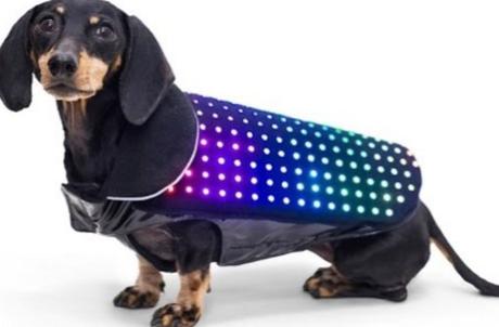 Smartphone Controlled LED Dog Vest