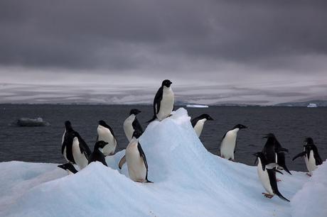 Antarctica 2016: The New Season Begins Today!