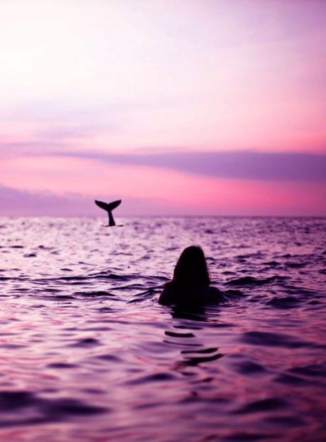 Wonder — Peace, Love and Patchouli