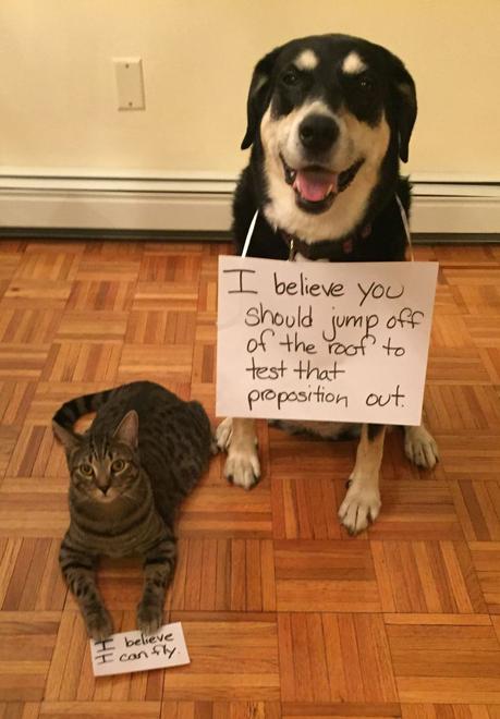 Happy Aviation Day! — Travels with Choppy