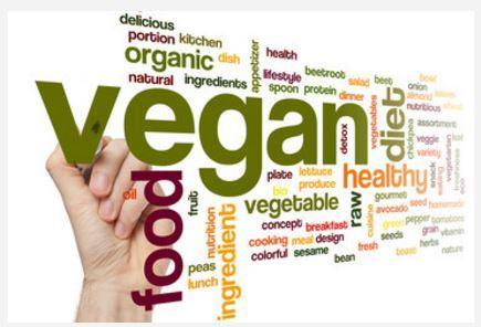 is there a best diet for you vegan image