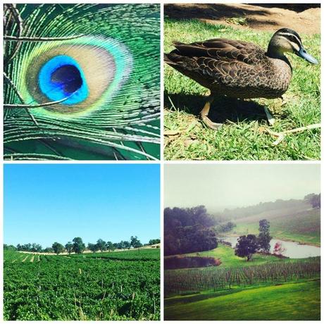 Naturally Inspired – Weekend Style Challenge