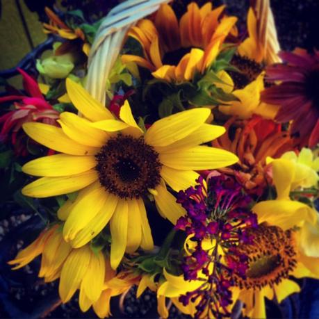 Pickin’ Wildflowers — Lipstick and Laundry