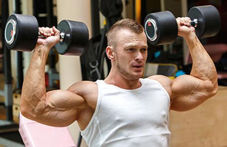 Muscle Routine Programs