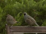 Holidays Backyard Making Memories