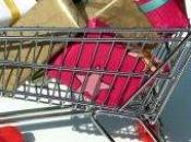 OFFERS: Samples, Sweeps, Coupons!