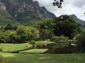 City Guide: Spend Time Cape Town