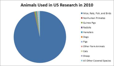 animals-used-in-research