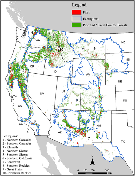 Study: Protected Forests on Public Land Burn Less Severely Than Logged Areas
