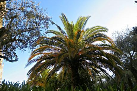 Côte d'Azur on a budget // Travel Côte d'Azur on a budget // Travel