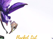 Elephants, Family Travel Emilyconwayx