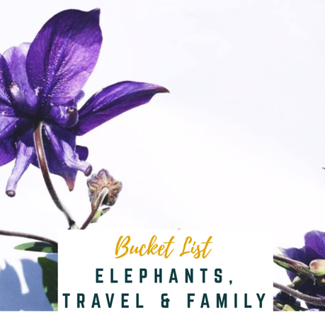 Elephants, Family & Travel — emilyconwayx