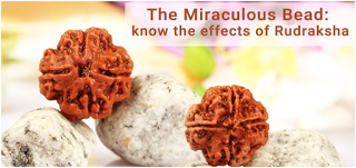 The Miraculous Bead: Know The Effects Of Rudraksha