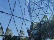 Tour Dali Museum Petersburg Florida