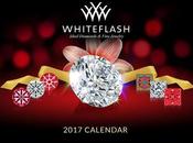 Poll WhiteFlash Calendar Cover 2017