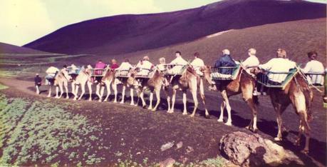 Entrance Tickets – Timanfaya National Park, Lanzarote — Have Bag, Will Travel