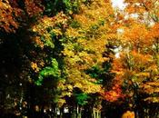 Beauty Journey Southern Design